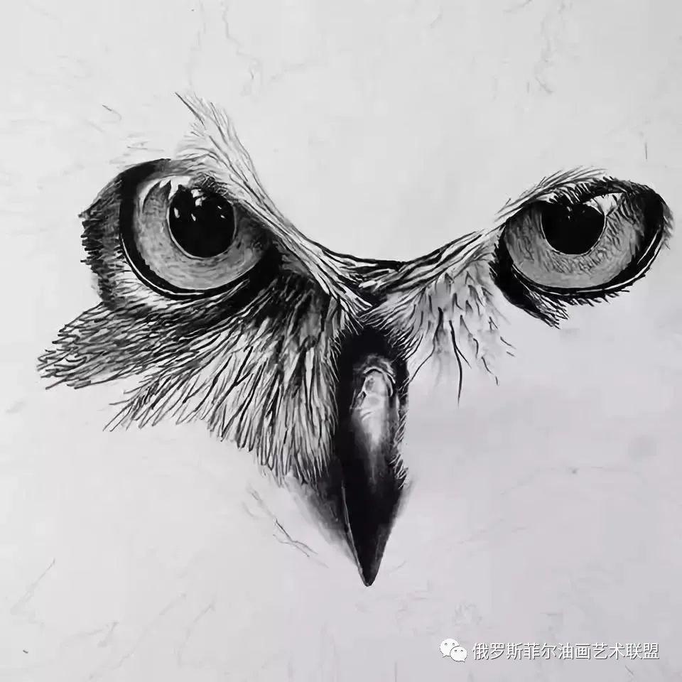 ử˺ܶ,軭ô뻯ȴ