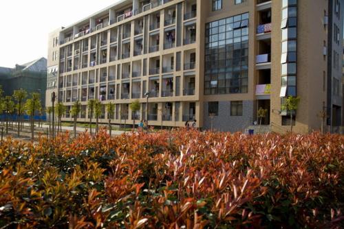「工程」有哪些大学开设？农业建筑环境与能源工程专业