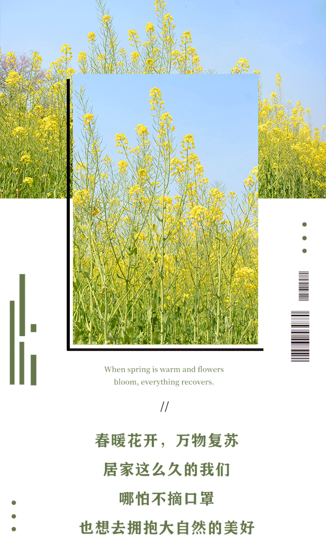 640_1090 竖版 竖屏