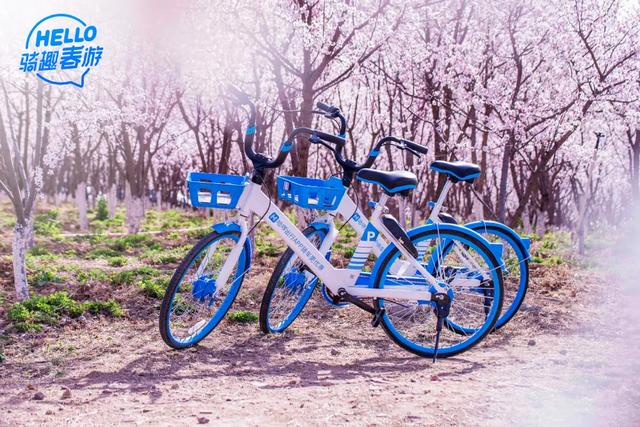 哈啰自曝融资欲扭转舆论声音，但100%增长知易行