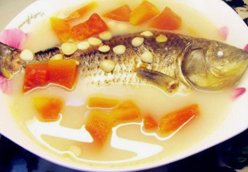 木瓜怎么煮水喝 db8b2f980c594cbc9009918963fff399.png