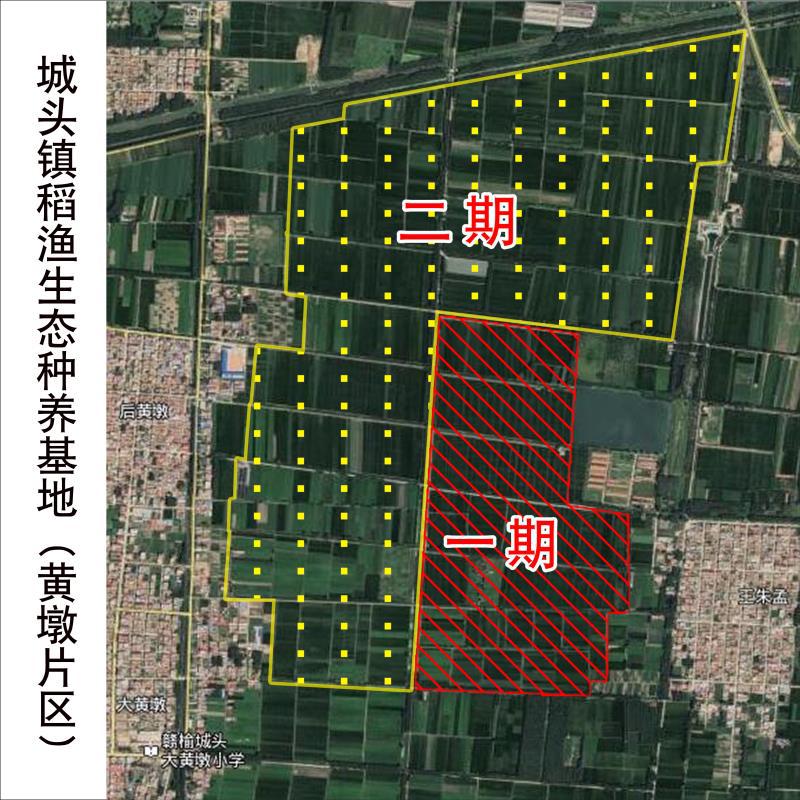 赣榆区城头镇发展稻渔综合种养开启产业扶贫新模式