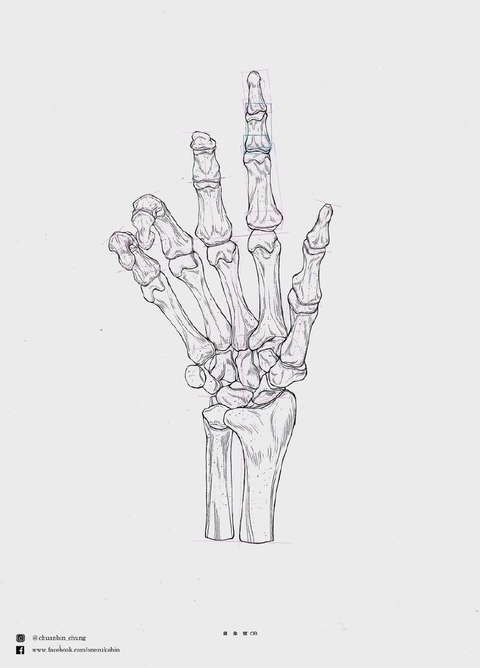 手部骨骼动态美术生素描速写素材搞透就是高手了