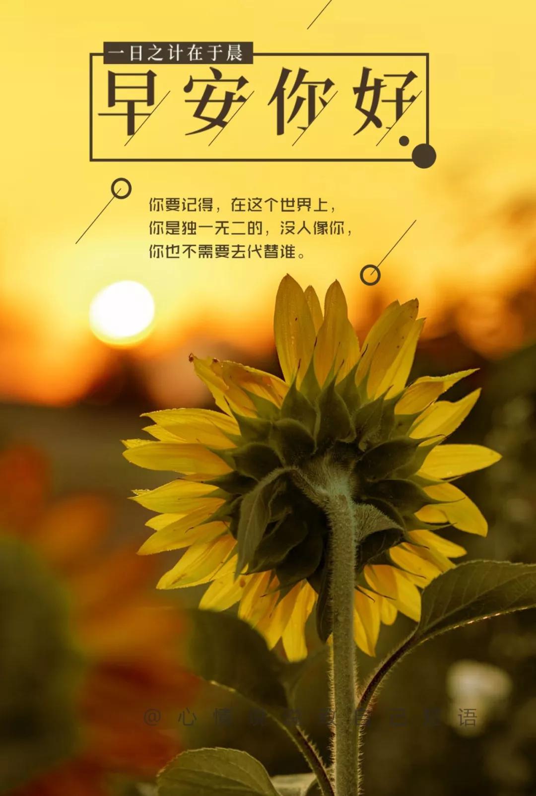 朋友圈早安说说带图片,激励的句子早安语录正能量