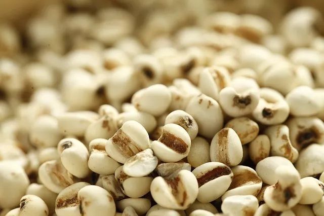 绿豆加什么清热祛湿 e5482b2a81fe4ec8868c09f8a638fc77.jpeg