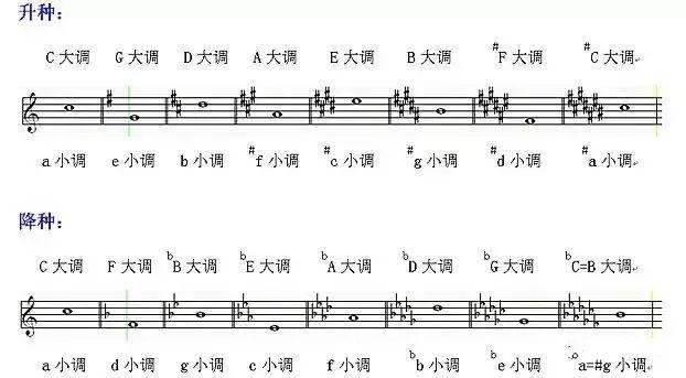 七个音符的曲谱_七个音符图片(3)