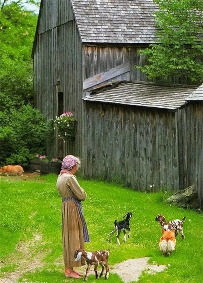 童话般的田园生活塔莎奶奶的世界