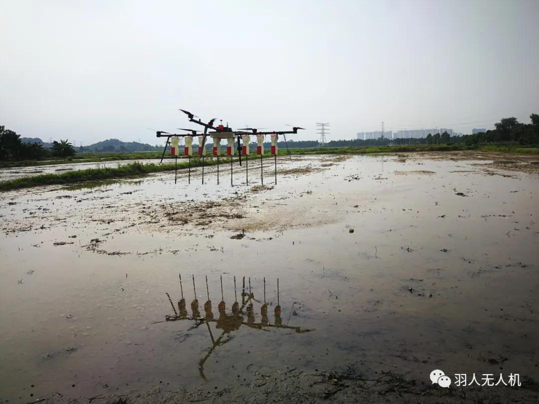 人口的激增让地球的粮食_节约粮食手抄报(2)