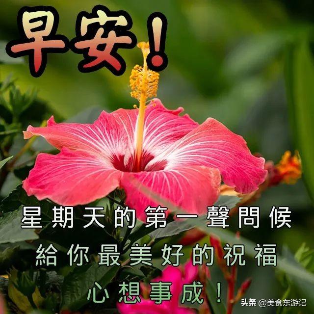 2020年4月5日,心有多精彩,你的世界就有多精彩,早安