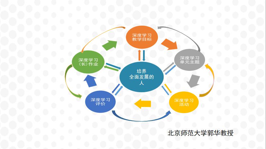 小学数学数与代数教案模板