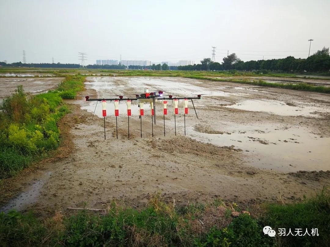 湖北湖南人口多不_湖南湖北地图(2)