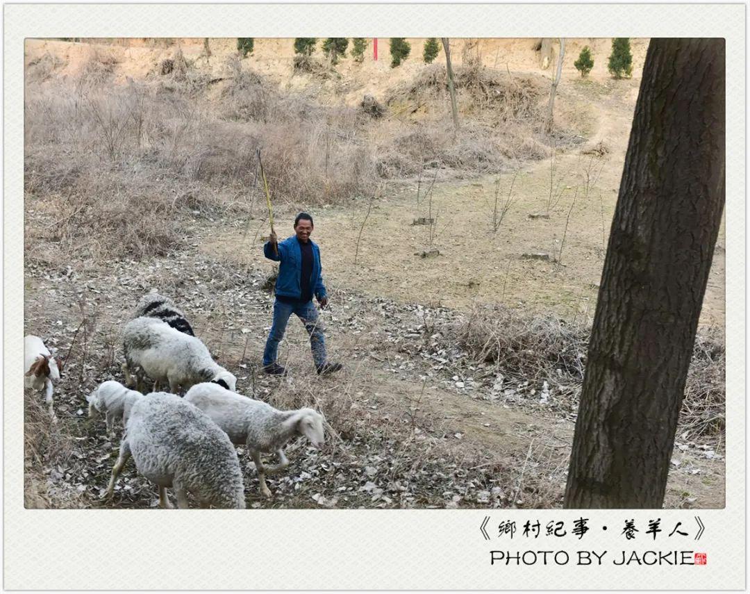 【放羊汉(序)摄影图片】繁峙西沿口纪实摄影_Wutai Mountain_太平洋电脑网摄影部落