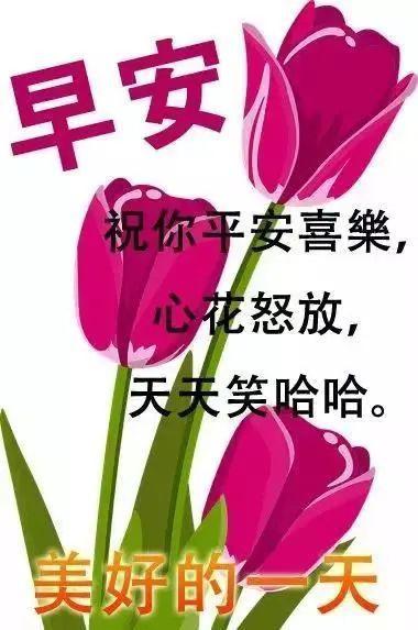 早上发朋友圈的温馨祝福图片 星期三清晨暖心的问候语句