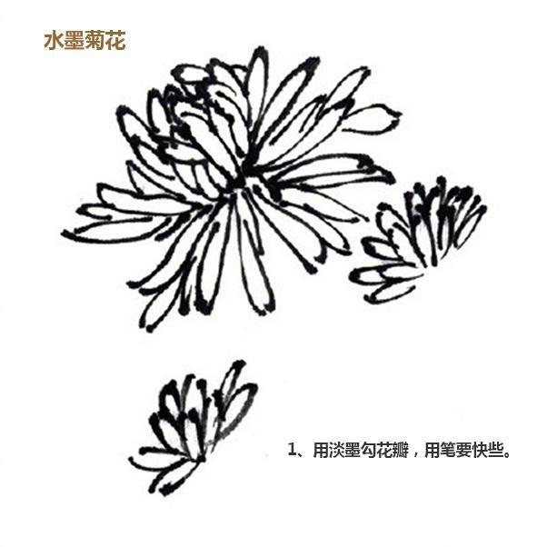 简单三步,教你画水墨画-水墨菊花,桂花,虞美人的绘画步骤