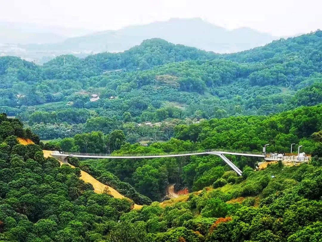 最新攻略深圳又多了一处网红打卡地光明三桥大顶岭绿道趁着人少赶紧去