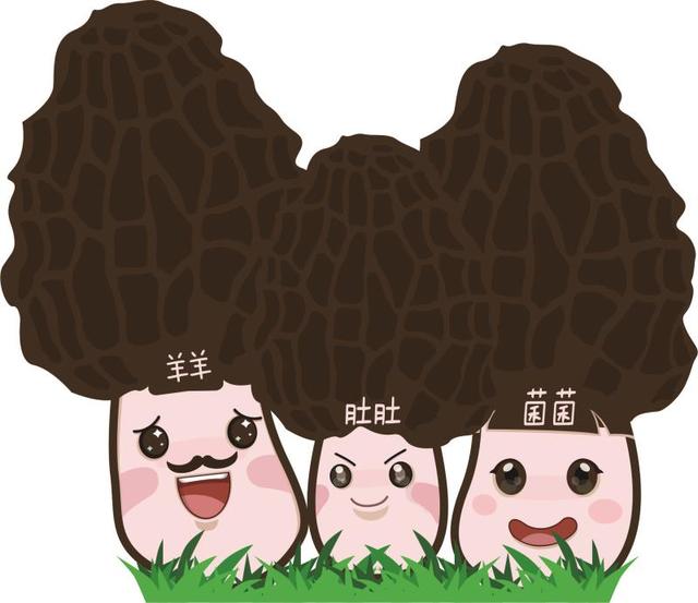 原创三门峡九龙山农业科技有限公司面向全国征集羊肚菌卡通创意形象了