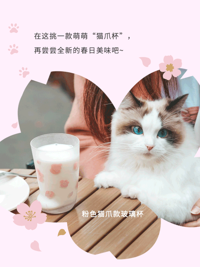 落樱飘雪冷萃与猫爪杯系列来了 | 沉醉樱花最美一刻