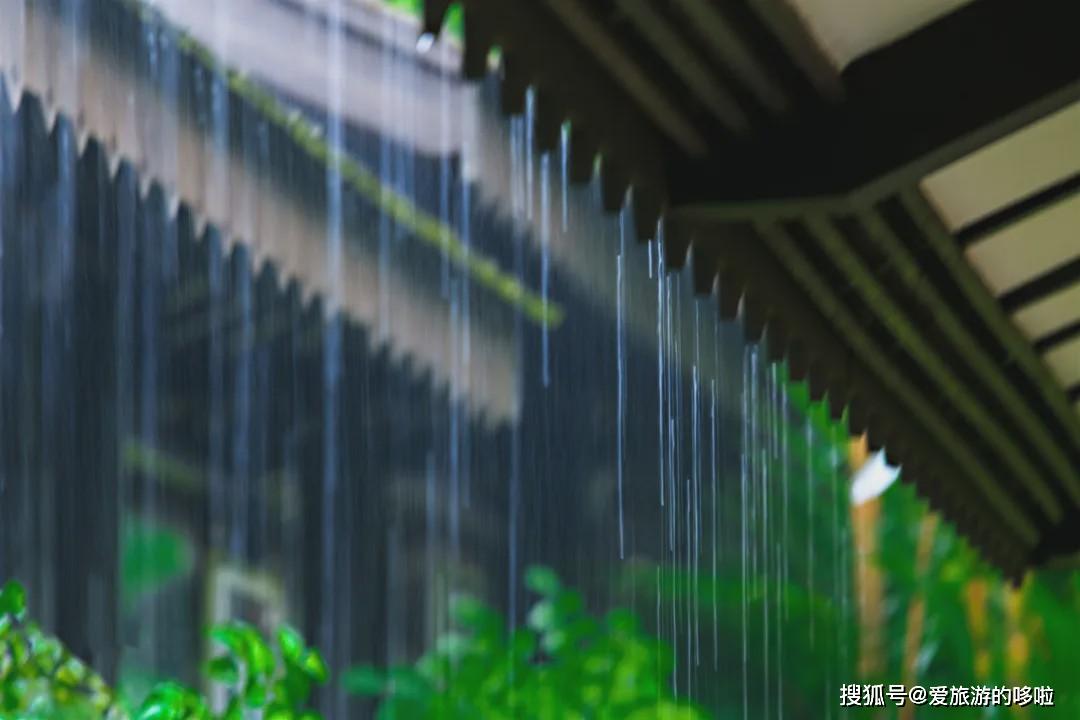 来看看春雨下的齐鲁大地,美成壁纸