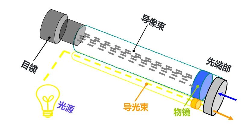 内窥镜摄像系统—纤维内窥镜(消网纹)