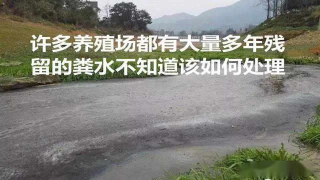 剂进行粪水快速发酵成液态有机肥技术变成基本无臭味直接浇灌不烧苗