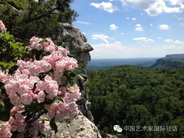 上实施他的"空椅子"观念作品博物馆,美术馆展览项目:中国艺术家沈敬东