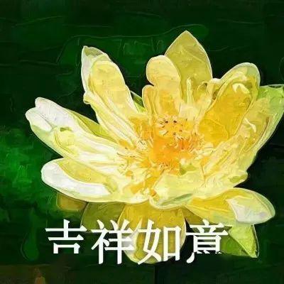 「讲座」精华都在这里！【回顾】这场近两千人收听的志愿填报干货讲座