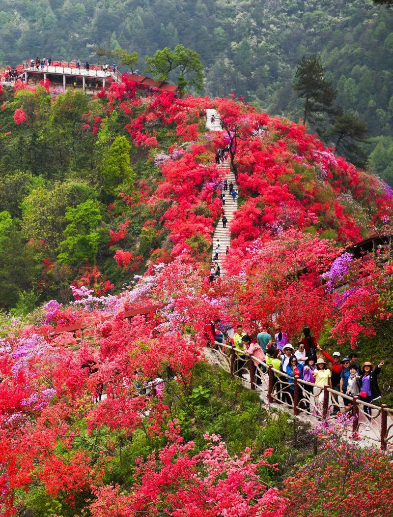 【用餐】自带干粮包 【景点】天峡景区 【交通】空调旅游车 01 02 03