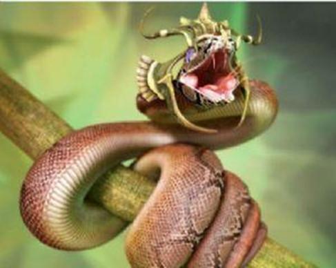 传说中世界上年龄最大的蛇——绿茸线蛇
