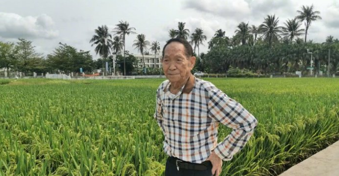 袁隆平称中国不会出现粮荒，完全能够自给自足