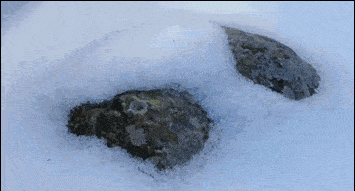 这里的风寒湿邪就像是山阴面的积雪阳光晒不到,常年累月下来,元气够不
