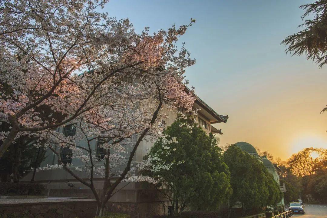 『寝室』直击9省高三开学现场! 教室寝室大变样! 学生太兴奋！高考延期, 你真的准备好了吗?