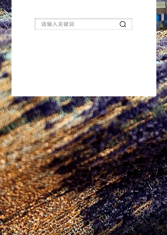 639_900 竖版 竖屏