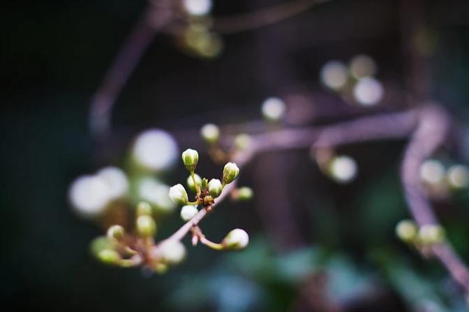「厚上」春捂≠乱捂！孩子这样“捂”才正确