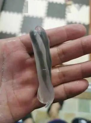 30张搞笑图片合集,你被哪张逗笑了?