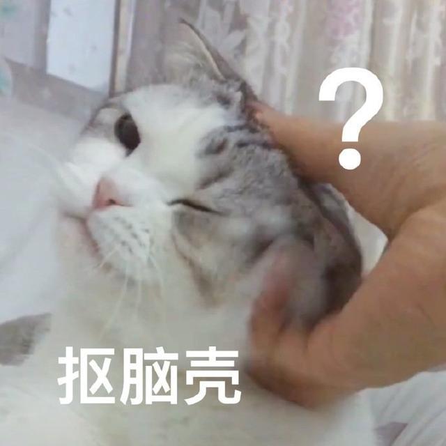 抠脑壳