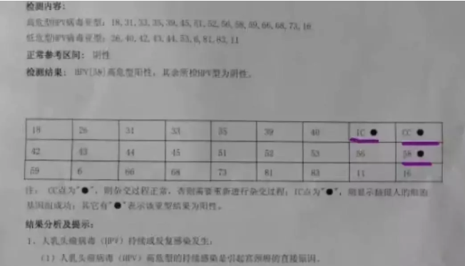 欧宝平台手把手教你看懂妇科检体检报告(图6)