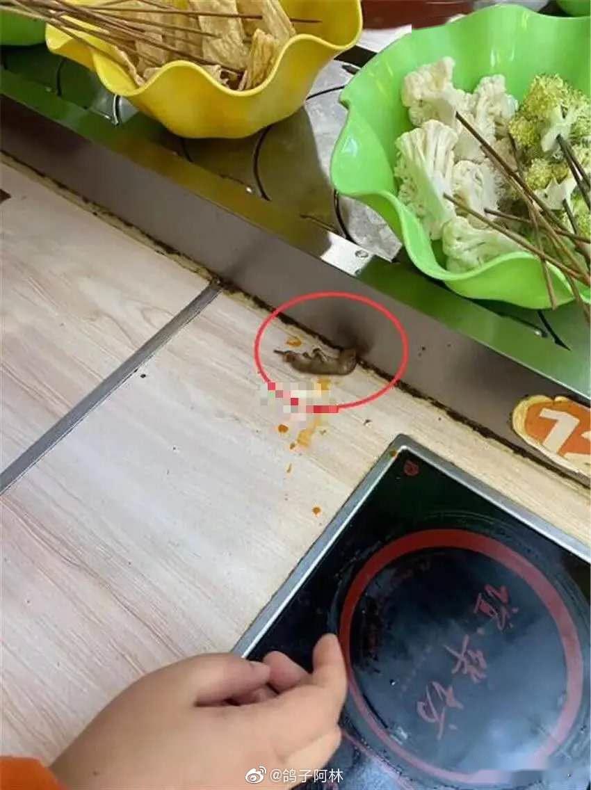 网曝绵阳某饭店吃到死耗子,画面让人…_老鼠