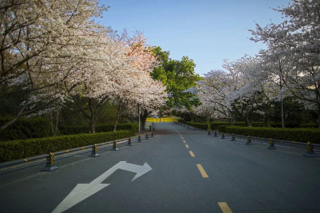 『寝室』直击9省高三开学现场! 教室寝室大变样! 学生太兴奋！高考延期, 你真的准备好了吗?
