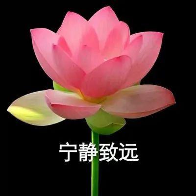 「讲座」精华都在这里！【回顾】这场近两千人收听的志愿填报干货讲座