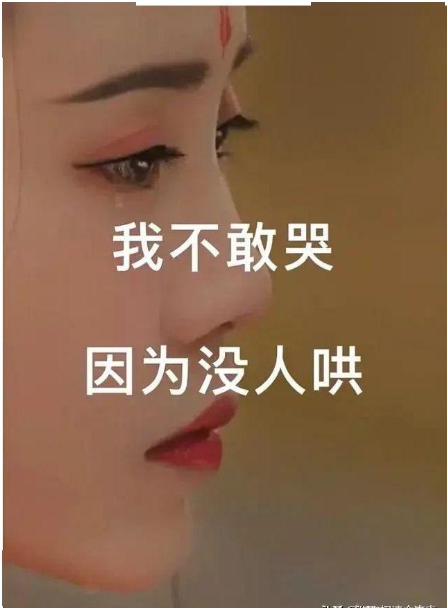 我不敢哭因为没人哄