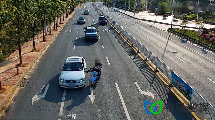 寻乌一小伙在马路上追逐小车 还自导了一场"交通