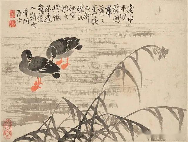 书画界边寿民的卢雁闻名江淮