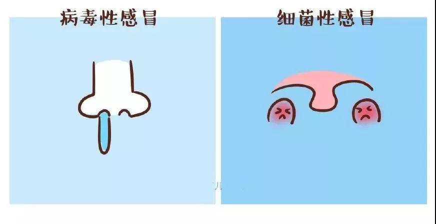 『宝宝』宝宝患的是病毒性感冒还是细菌性感冒送!专家告诉你
