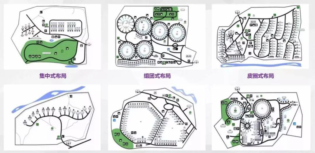 最低入款一元即送白菜金:绿色植物都属于同一营养级对吗