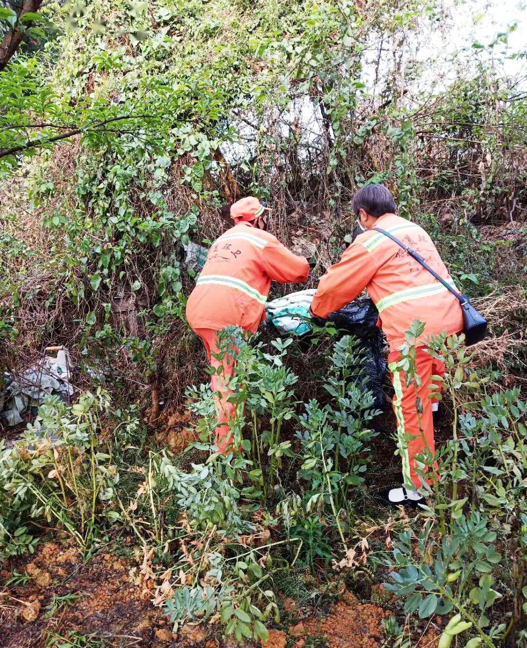 新生杂草、死角污渍、积存垃圾等为主要目的，做到及时发现，及时清理。