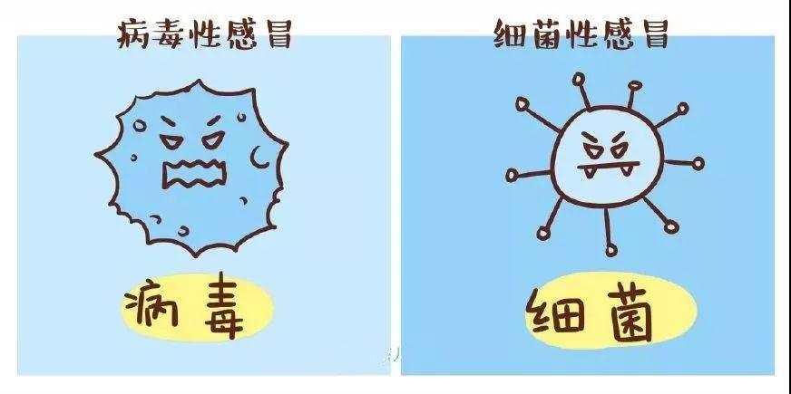 『宝宝』宝宝患的是病毒性感冒还是细菌性感冒送!专家告诉你