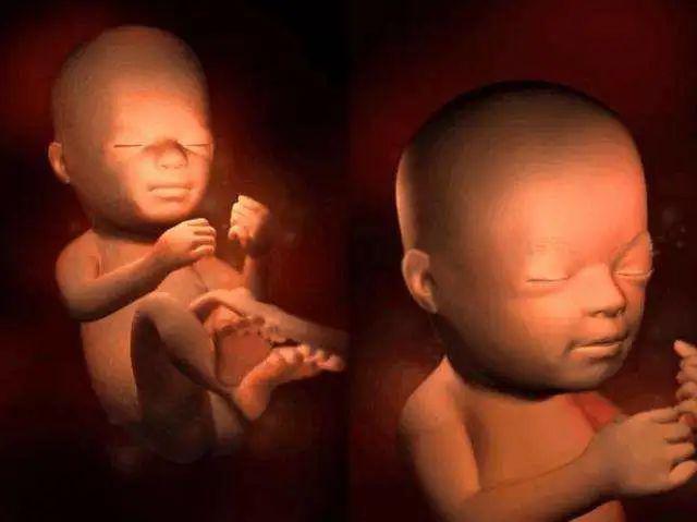 拿手电筒有节奏的照孕妈的腹部,胎儿会把脸朝向有光的地方,心脏也会