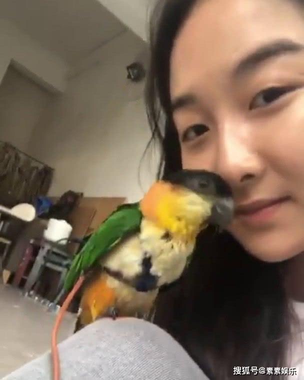 梁家辉女儿晒宠物照，曝光国外私人生活，平淡