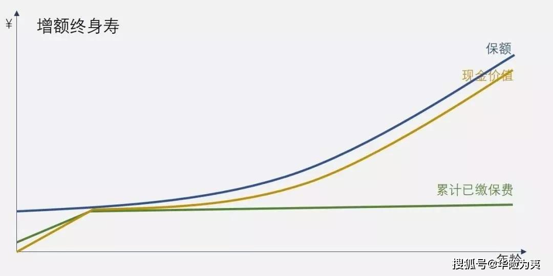 寿险王炸产品信泰如意尊增额终身寿接力4025的最佳王者