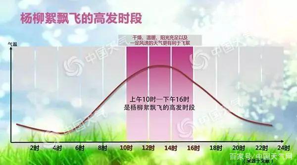 「防护」请为孩子收好这份防护攻略柳絮来袭